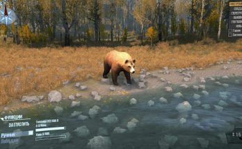 Animals for the editor v1.0